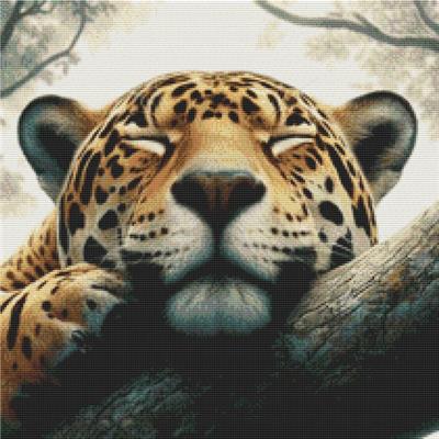 (image for) Sleeping Leopard